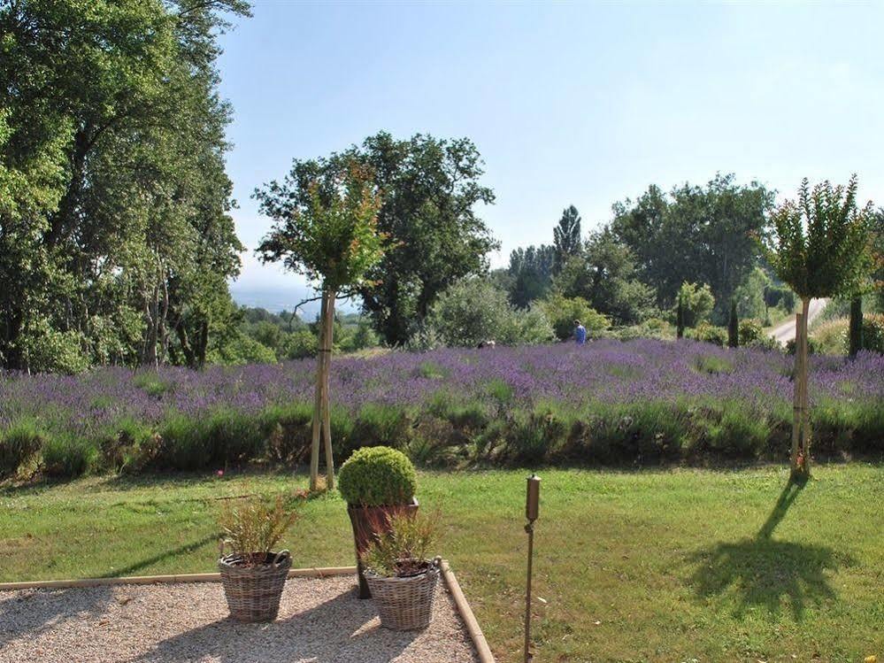 Domaine Le Bois Des Dames Bed & Breakfast Chantemerle-les-Grignan Exterior photo